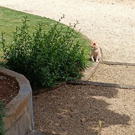 Petit Plaisance Capoliveri (Isola d'Elba)