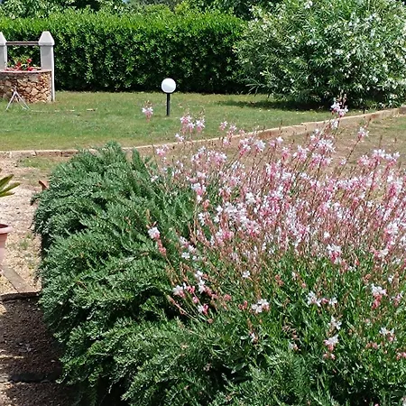 Semesterbostad Petit Plaisance