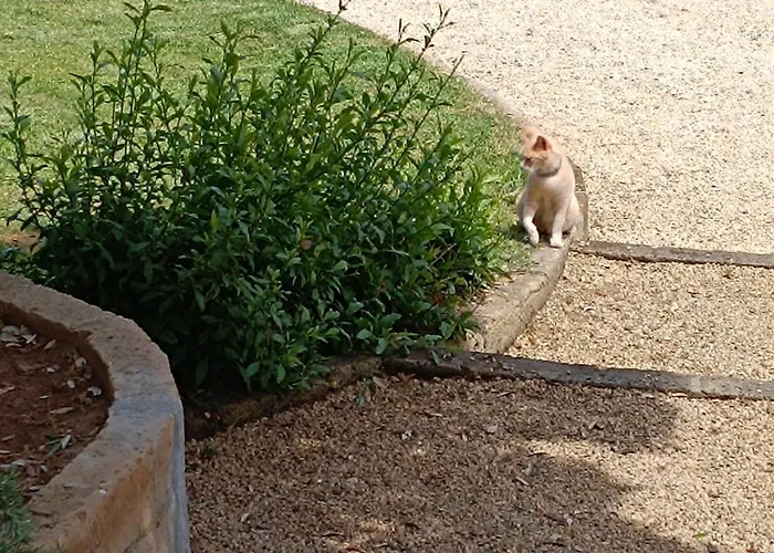 Petit Plaisance Capoliveri (Isola d'Elba)