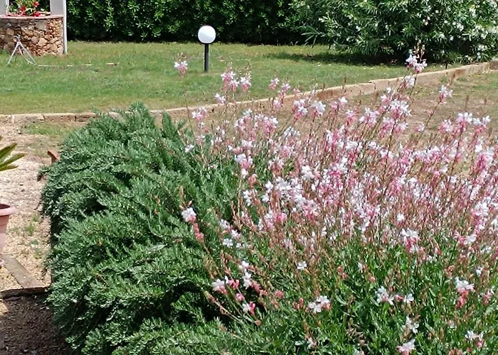 Semesterbostad Petit Plaisance